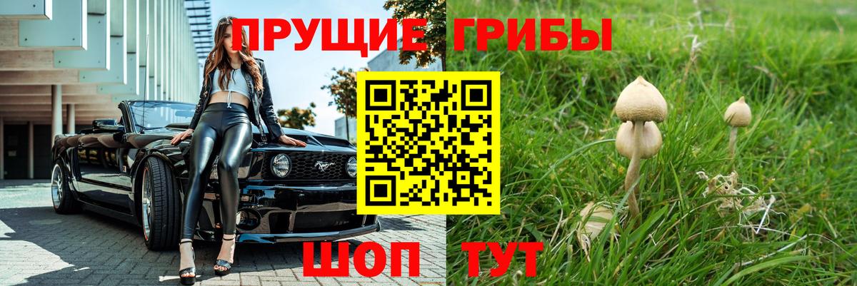 Галлюциногенные грибы прущие грибы Волжск