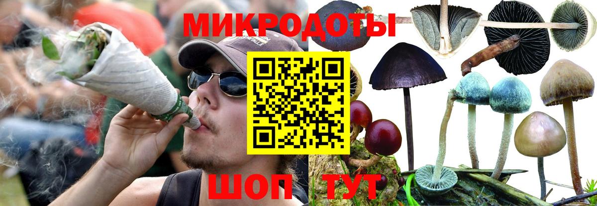 Галлюциногенные грибы Cubensis  Галлюциногенные грибы GOLDEN TEACHER  Волжск  Вход с VPN 